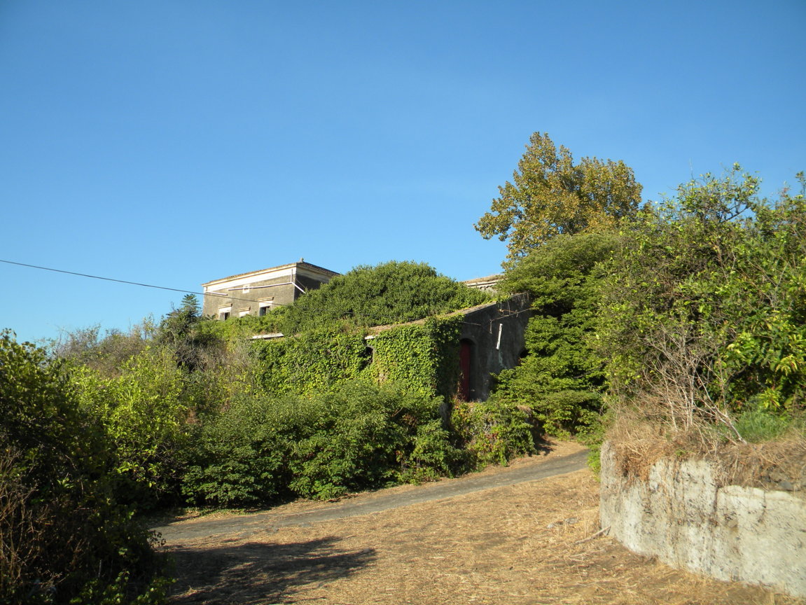 DSCN8064 .JPG